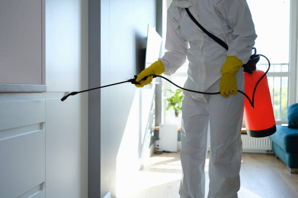 Best Biohazard Mold Removal  in West Lealman, FL